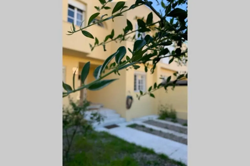 Villa CASA DE LUJO CON PISCINA en la mejor zona de Jerez Jerez de la Frontera